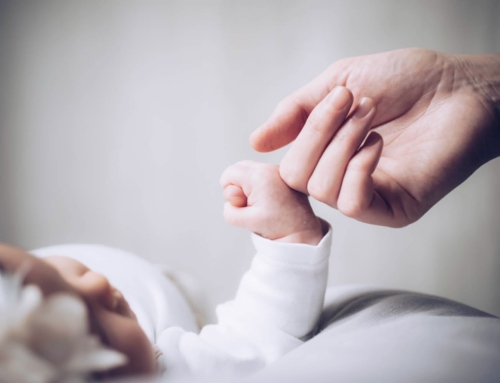 DHURIMI I QUMËSHTIT TË GJIRIT NË ISLAM